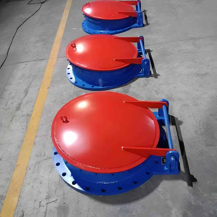 不锈钢拍门DN350价格多少钱一台？2026年报价及价格因素解析产品实物图