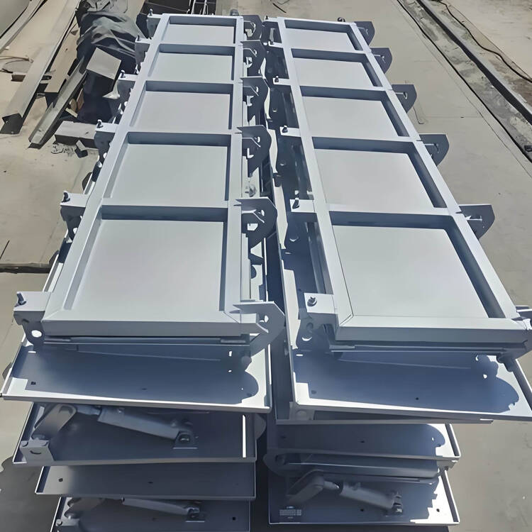 304 不锈钢冲洗门整体外观 | 不锈钢 | 水利设备整体结构展示