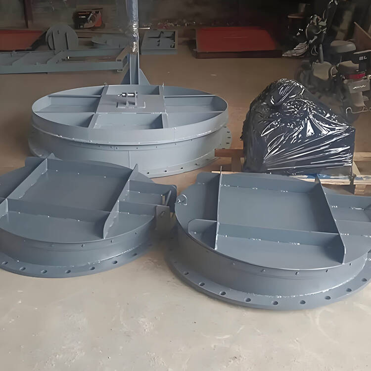 BN800 不锈钢拍门 泵站专用标准尺寸拍门 厂家现货直发细节特写 | 不锈钢核心部件 | 核心功能展示