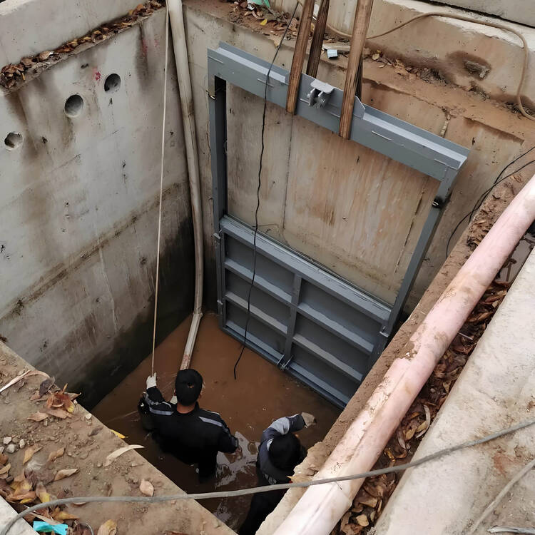 不锈钢方闸门防渗漏施工技术文章整体外观 | 不锈钢 | 闸门整体结构展示