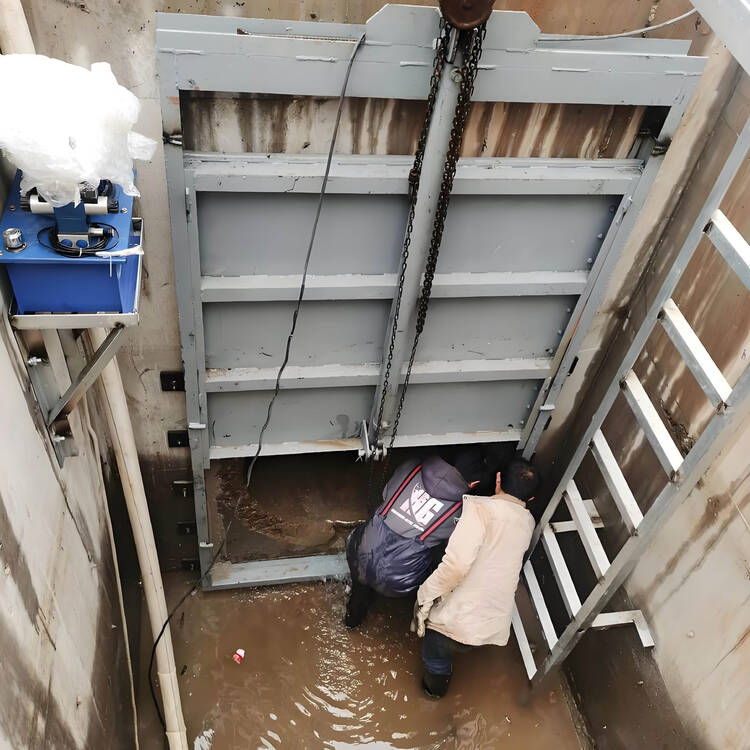 城市排水管网清污案例：不锈钢格栅清污机选型技巧与运行成本控制整体外观 | 不锈钢 | 水利设备整体结构展示