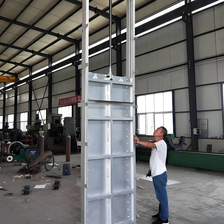 不锈钢闸门表面处理工艺与粗糙度要求整体外观 | 不锈钢 | 闸门整体结构展示