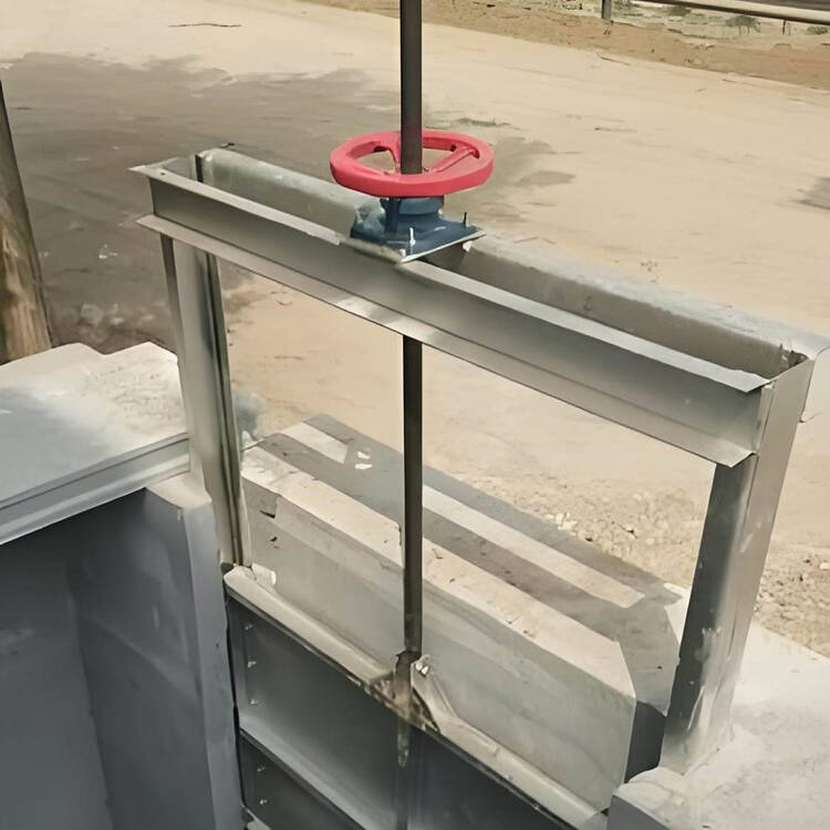 不锈钢闸门备品备件清单与管理整体外观 | 不锈钢 | 闸门整体结构展示